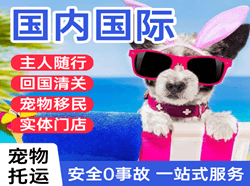 阿尔山空运地址国际宠物托运 【国